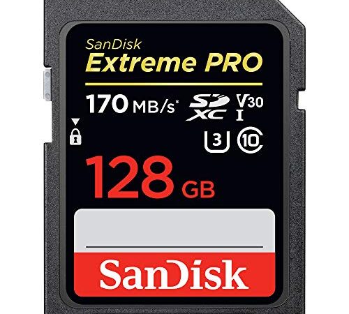 Carte mémoire SDXC SanDisk Extreme PRO 128 Go Jusqu'à 170 Mo/s, UHS-I, Classe 10, U3, V30