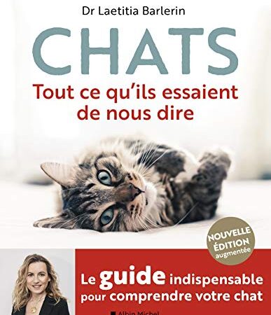 CHATS (Ed.2020): Tout ce qu'ils essaient de nous dire