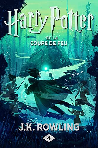 30 Meilleur livre harry potter en 2023 [Basé sur 50 avis d’experts]