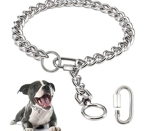 Colliers de Chien de chaîne, en métal en Acier Inoxydable à mâcher Collier Collier P Collier de chaîne avec Fermoir de Connexion pour Petits Chiens Moyens