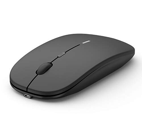 Anmck Fin Rechargeable Silencieux Souris sans Fil Mini avec Nano récepteur Portable pour Ordinateur Portable PC Ordinateur Cordless 2,4 G USB Souris -Noir