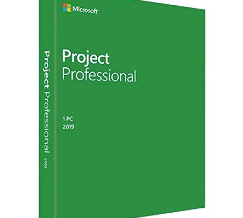 Microsoft Project 2019 Professional - 1 PC