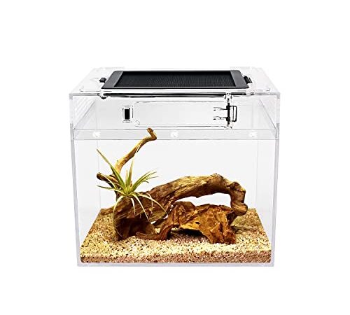 Reptile Growth PC Terrarium Reptile, 8" x 8"x 8" PC terrariums avec Vue complète visuellement Attrayante, Vivarium pour Léopard Gecko Barbu Dragon Lézard Escargot Tarentule Serpent Tortue