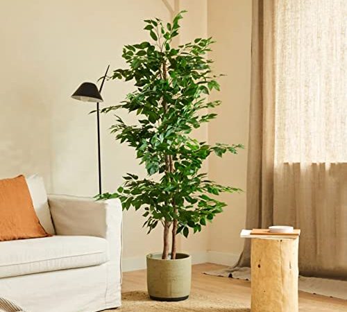 BLAINE Plante Artificielle avec Produits Naturels, Fabriquée avec Les Meilleurs Matériaux, Idéale pour la Décoration Intérieure, Plante, Arbre Plante Artificielle (150cm, Ficus)