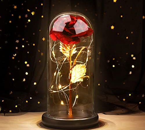 Winthai Rose Eternelle sous Cloche, Cadeau Fete des Meres, La Belle et la Bête Fleurs Éternelles, Enchanted Rose Élégant Dôme en Verre avec Lumières LED, Idee Cadeau Fete des Maman Mere Anniversaire