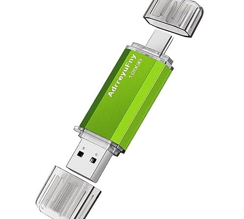 Clé USB C 128 GO, Clef USB 2.0 OTG Type C 2 en 1 Pen Drive Portable Mémoire Stick USB Flash Drive pour Smartphones, Tablette, PC etc (Vert)